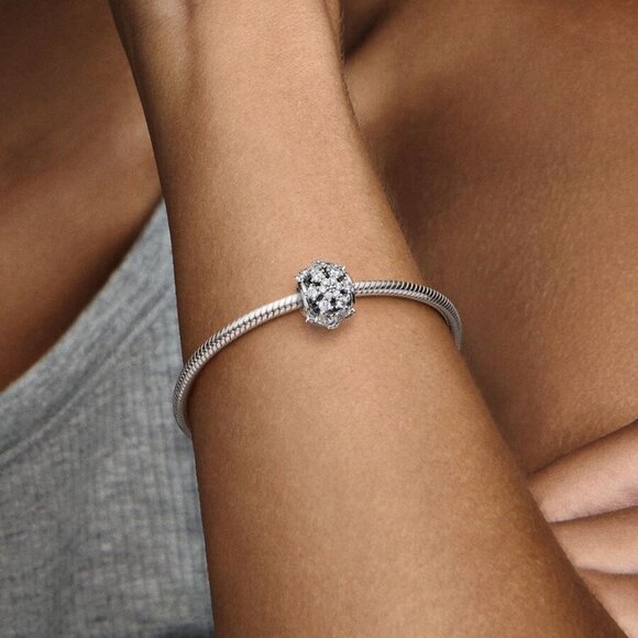 Pandora Sparkling Herbarium Cluster Round Charm|Pendant - Picture 5 of 5